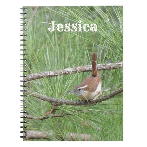 Carolina Wren in Pine Tree Notebook