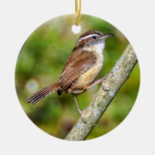 Carolina Wren Ornament