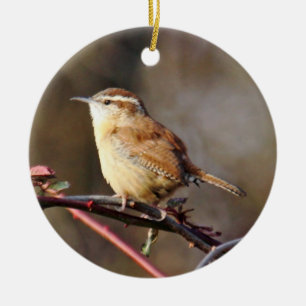 Carolina Wren Ornament