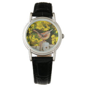 Carolina Wren Painting - Original Wild Bird Art Watch