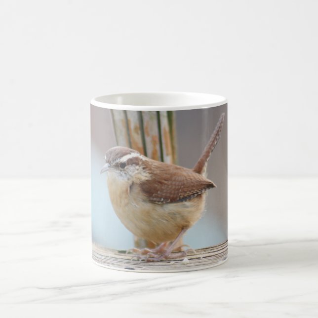 Carolina wren photography coffee mug (Center)