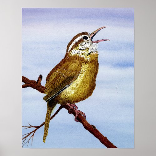 Carolina Wren Poster