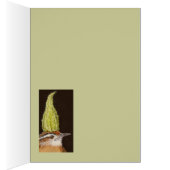 Carolina wren with milkweed card (Inside (Right))