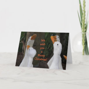 Caroling White Ducks Funny Holiday Card