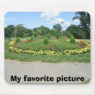 carols pic's1 022, My favorite picture Mouse Pad