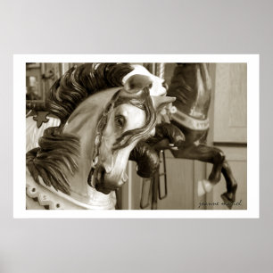 Carousel 40 Poster Print