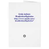 Carousel Horse,2 (Back)