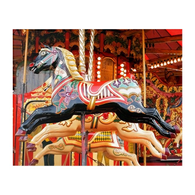 CAROUSEL HORSE ACRYLIC PRINT (Front)
