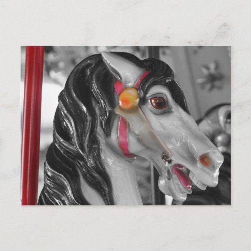 Carousel Horse Black White Postcard