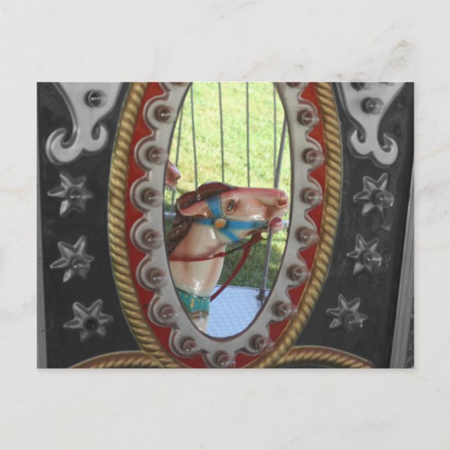 Carousel Horse In Mirror Black White Postcard (Front)
