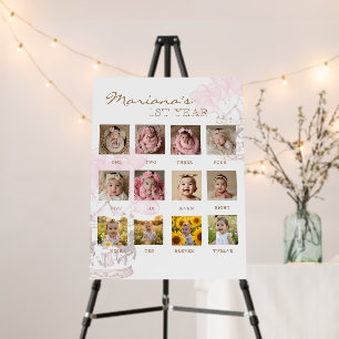Carousel My First Year Photo 1st Milestone Foam Board