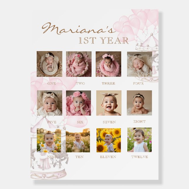 Carousel My First Year Photo 1st Milestone Foam Board (Front)