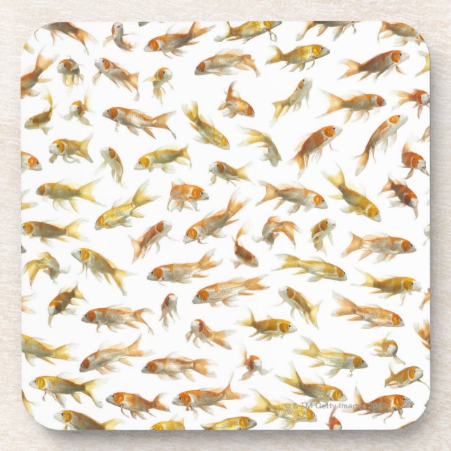 Carp (Cyprinus carpio) 2 Coaster (Front)