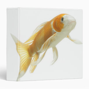 Carp (Cyprinus carpio) Binder