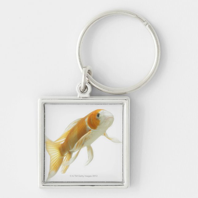 Carp (Cyprinus carpio) Keychain (Front)