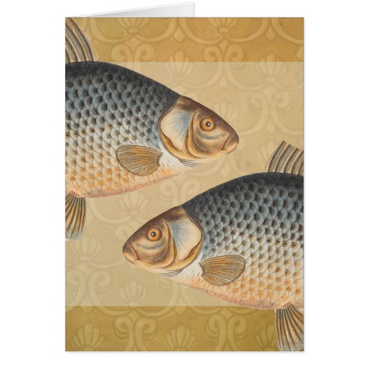 Carp fish fishing painting freshwater (Front)