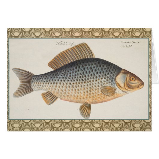 Carp fish fishing painting freshwater (Front Horizontal)