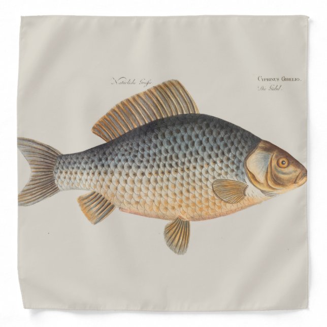 Carp fish fishing painting freshwater bandana (Front)