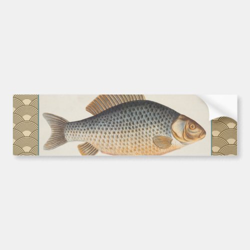 Carp fish fishing painting freshwater bumper sticker