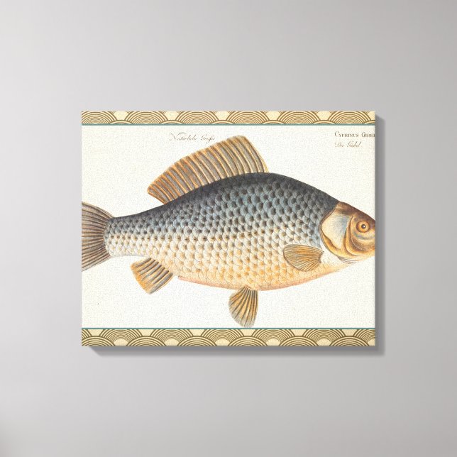 Carp fish fishing painting freshwater canvas print (Front)