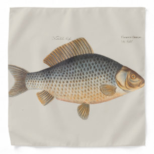 Carp fish fishing painting freshwater drawing bandana