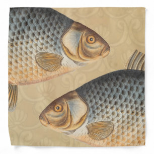 Carp fish fishing painting freshwater drawing bandana