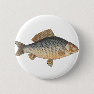 Carp fish fishing painting freshwater drawing  button