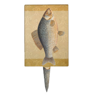 Carp fish fishing painting freshwater drawing  cake topper