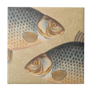 Carp fish fishing painting freshwater drawing ceramic tile