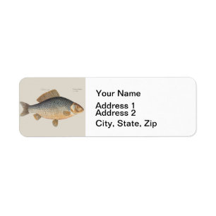 Carp fish fishing painting freshwater drawing label