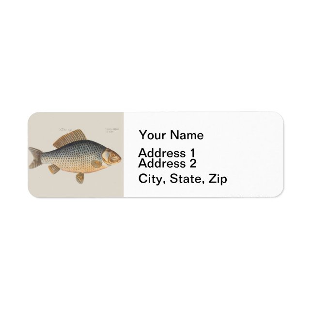 Carp fish fishing painting freshwater drawing  label (Front)