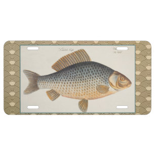 Carp fish fishing painting freshwater drawing  license plate