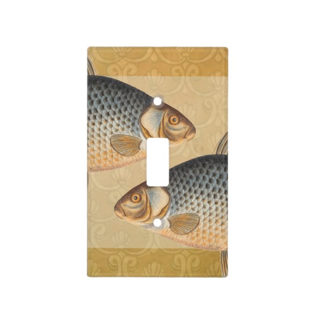Carp fish fishing painting freshwater drawing  light switch cover (Front)