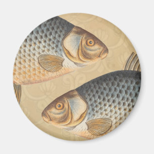 Carp fish fishing painting freshwater drawing  magnet