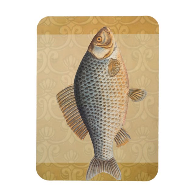 Carp fish fishing painting freshwater drawing  magnet (Vertical)