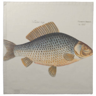 Carp fish fishing painting freshwater drawing napkin