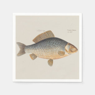 Carp fish fishing painting freshwater drawing napkins