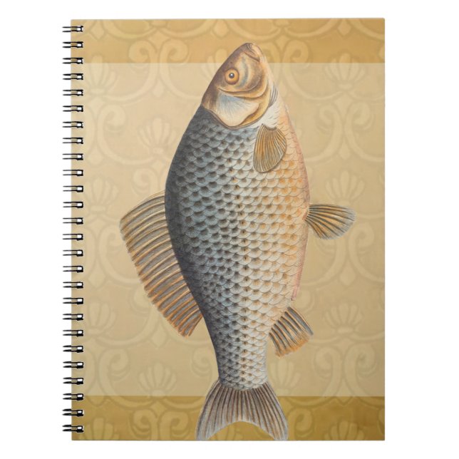 Carp fish fishing painting freshwater drawing  notebook (Front)
