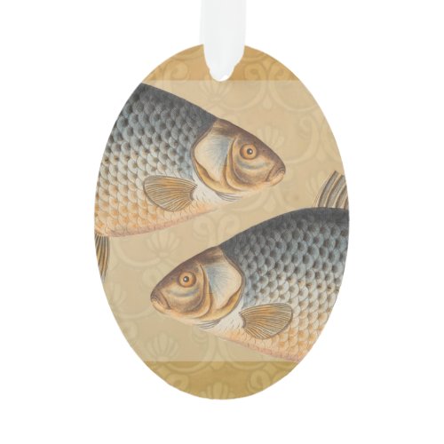 Carp fish fishing painting freshwater drawing  ornament