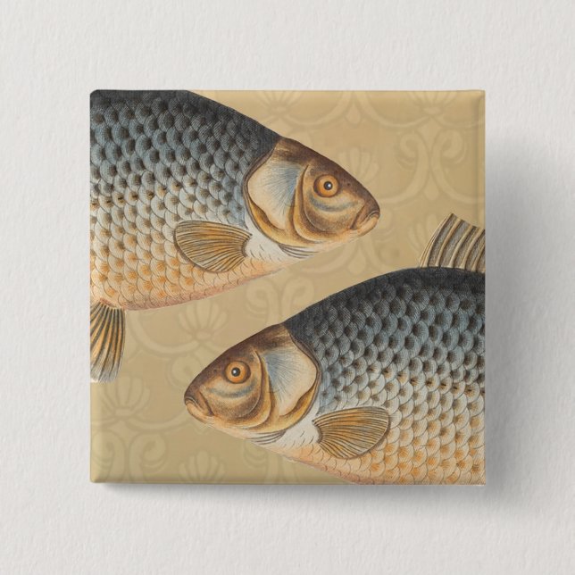 Carp fish fishing painting freshwater drawing  pinback button (Front)