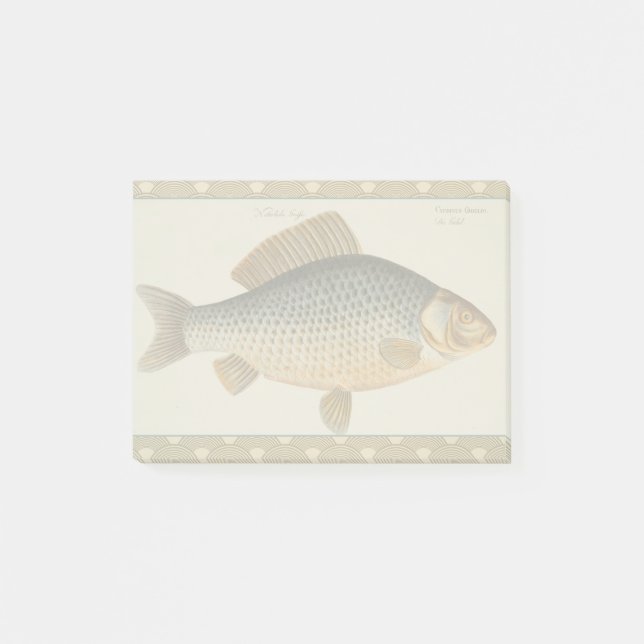 Carp fish fishing painting freshwater drawing  post-it notes (Front)
