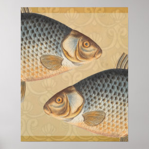 Carp fish fishing painting freshwater drawing poster