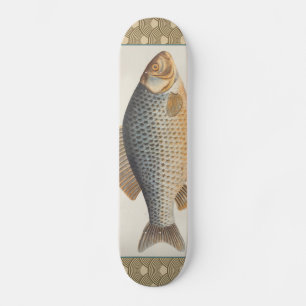 Carp fish fishing painting freshwater drawing  skateboard deck