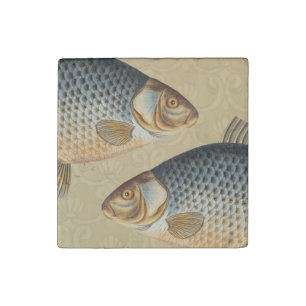 Carp fish fishing painting freshwater drawing  stone magnet