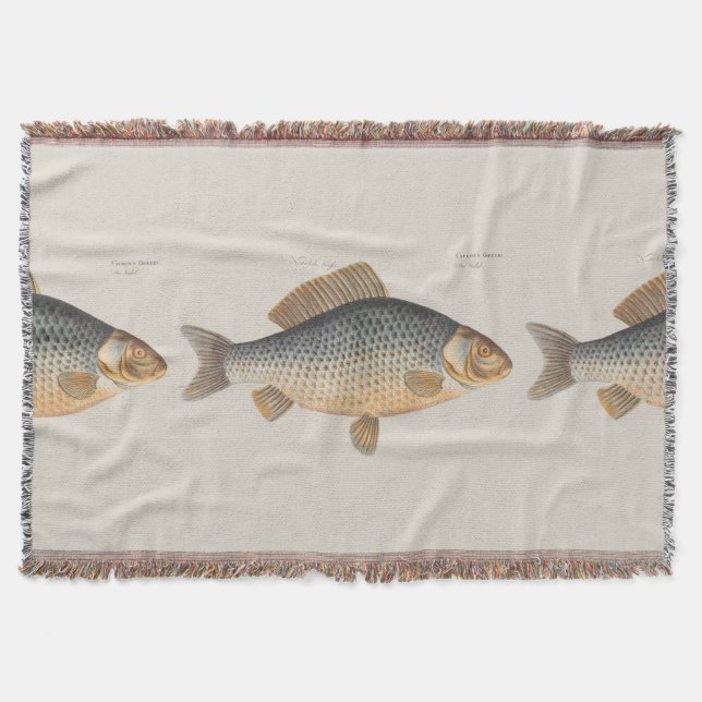 Carp fish fishing painting freshwater drawing  throw blanket (Front)