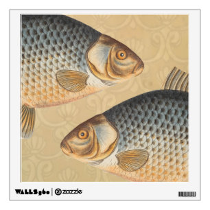 Carp fish fishing painting freshwater drawing wall sticker