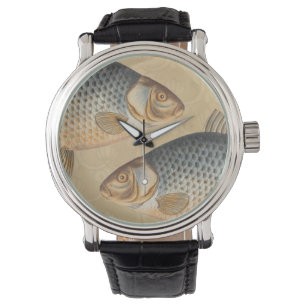 Carp fish fishing painting freshwater drawing  watch