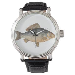 Carp fish fishing painting freshwater drawing  watch