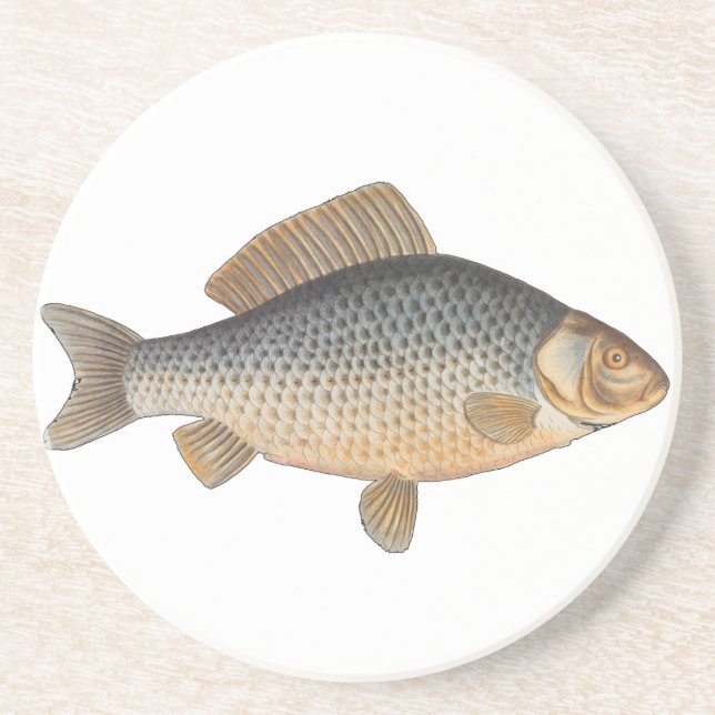 Carp fish fishing painting freshwater drink coaster (Front)