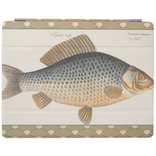 Carp fish fishing painting freshwater iPad smart cover (Horizontal)